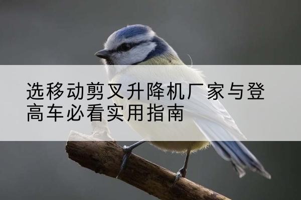 武义电动升降机厂家-选移动剪叉升降机厂家与登高车必看实用指南