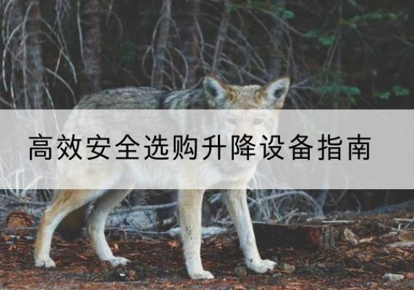 武义升降货梯厂家推荐-*安全选购升降设备指南